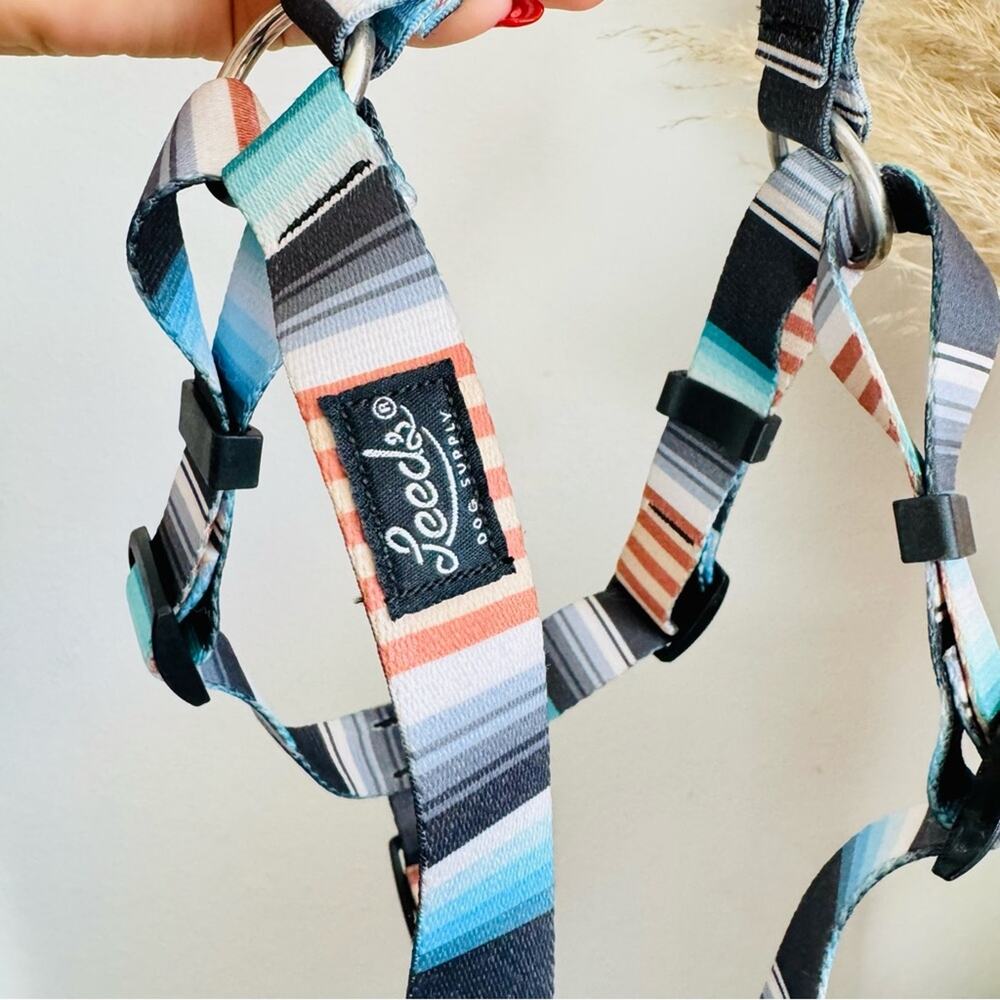 NEW LEEDS Jetty Blue White Orange Stripe Step Harness and 6โ Dog Leash $108 Set - Picture 10 of 11